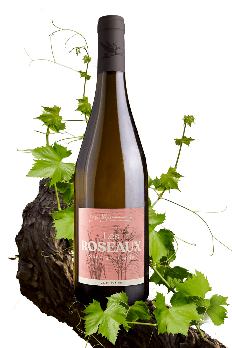 Les Roseaux
