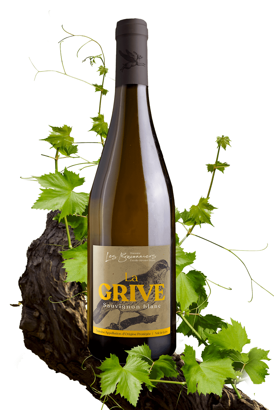 La Grive
