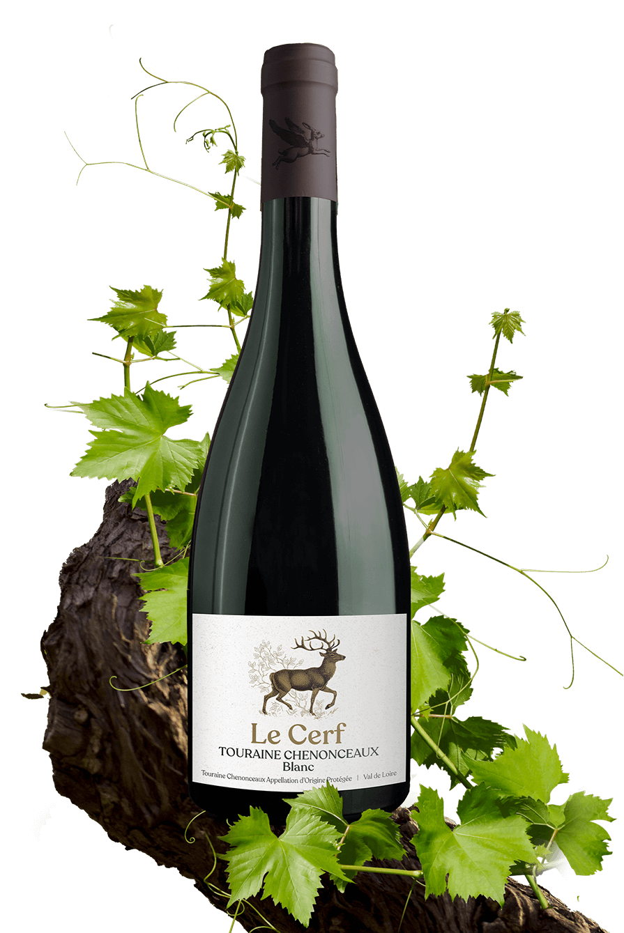 Le Cerf