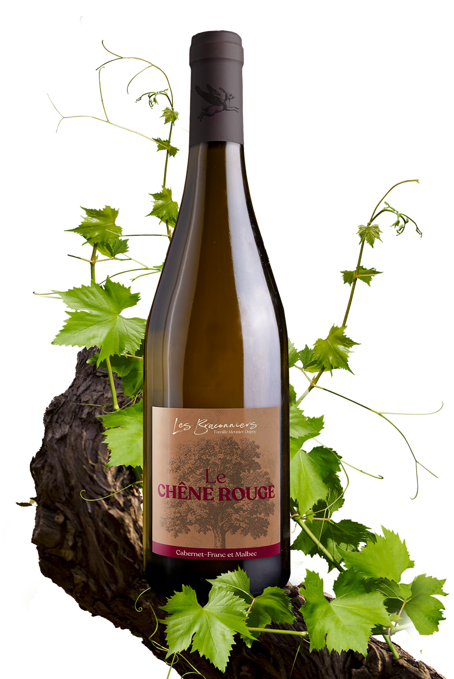 Le Chêne Rouge