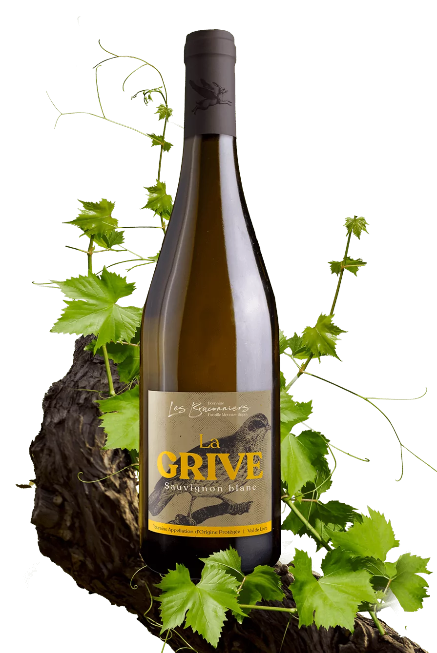La Grive
