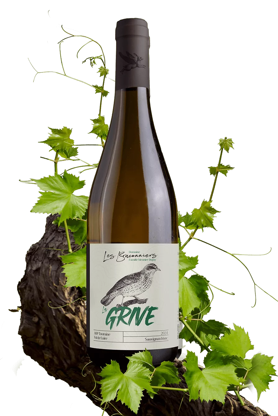 La Grive