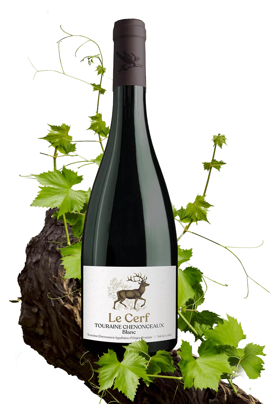 Le Cerf