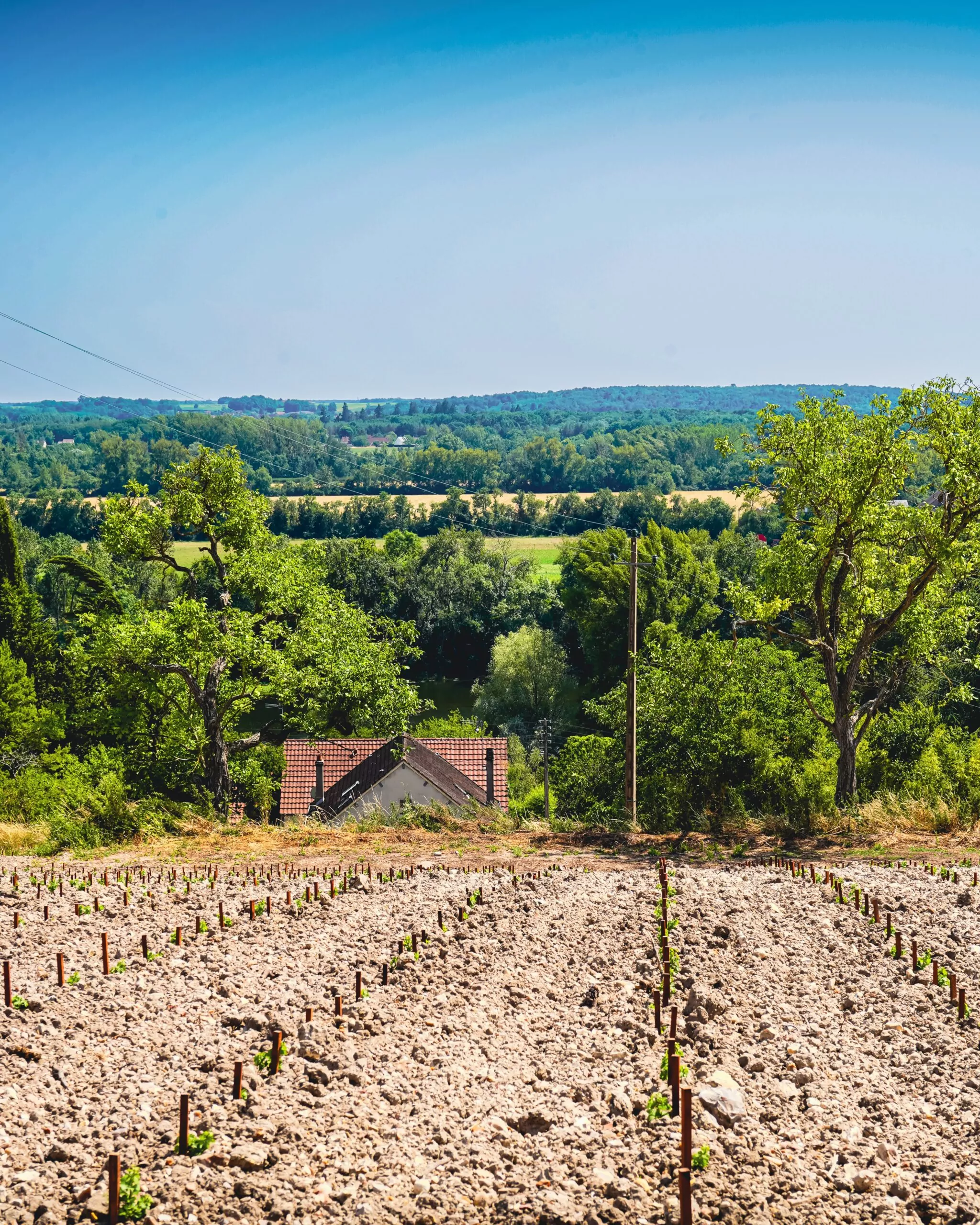 vignoble domaines les braconniers