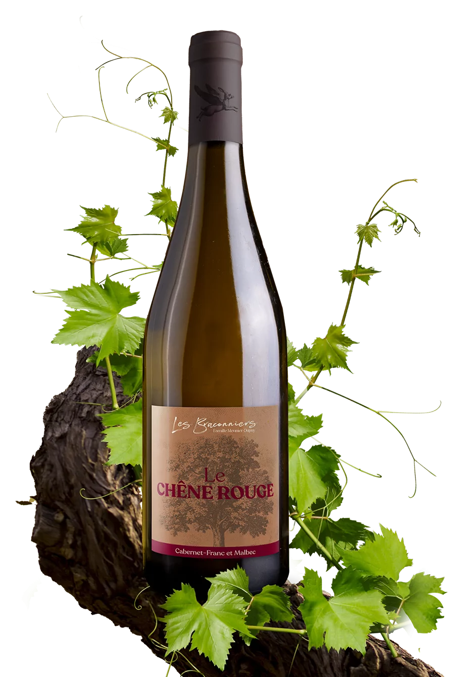 Le Chêne Rouge
